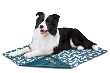 Picture for category Dog Accessories